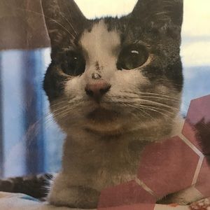 Meet your Posher, Meg